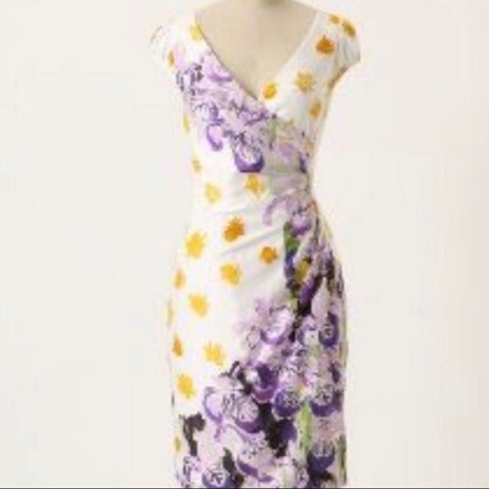 Sexy ANTHROPOLOGY Slim Fit Dress - Rebekah Maysles